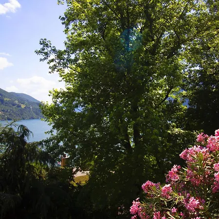 La Castignola Con Vista Di E Giardino Condiviso * Лугано